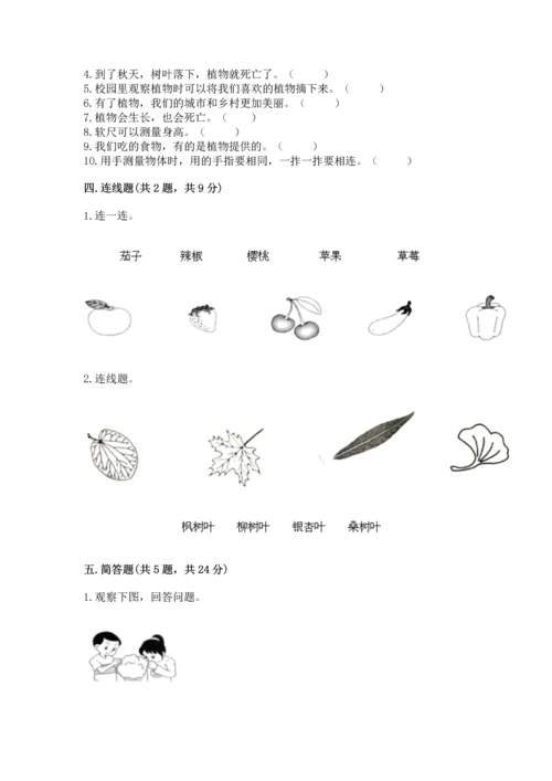教科版一年级上册科学期末测试卷及参考答案（考试直接用）.docx