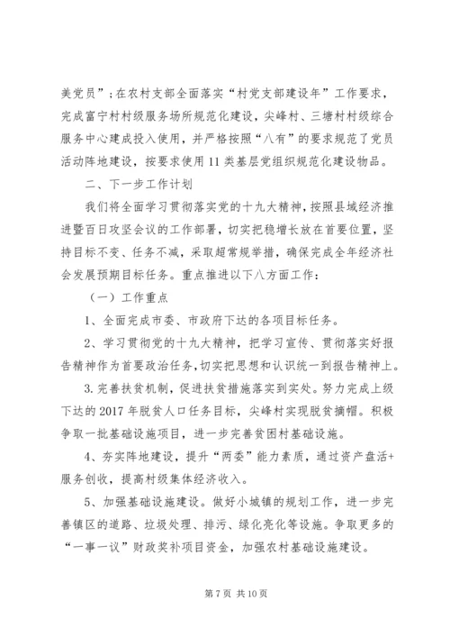 乡镇某年度工作总结暨某年工作计划.docx