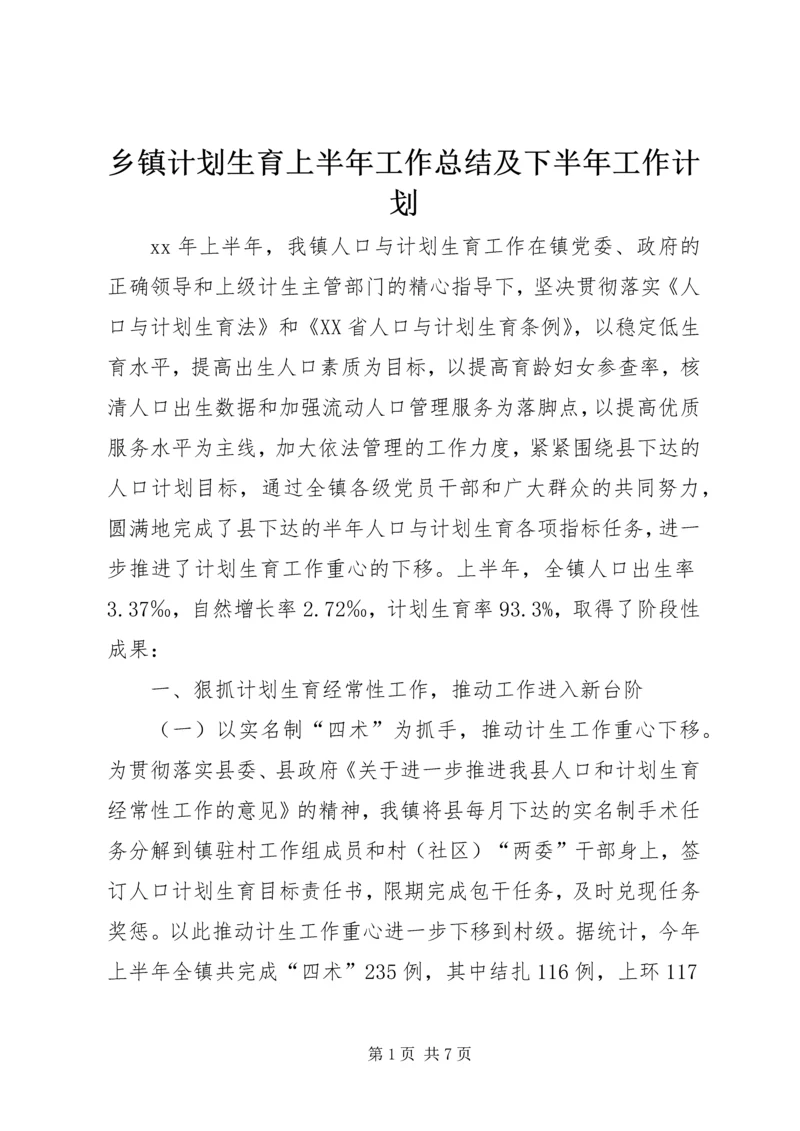 乡镇计划生育上半年工作总结及下半年工作计划.docx