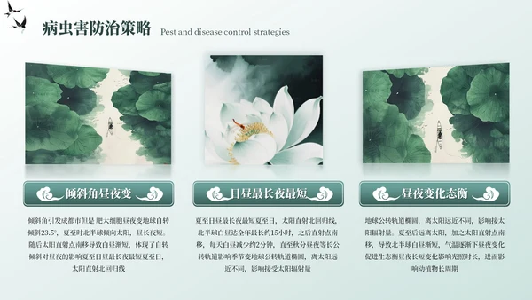 墨绿色中国风夏至节气PPT模板