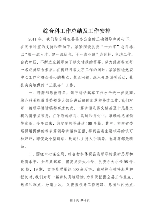 综合科工作总结及工作安排.docx