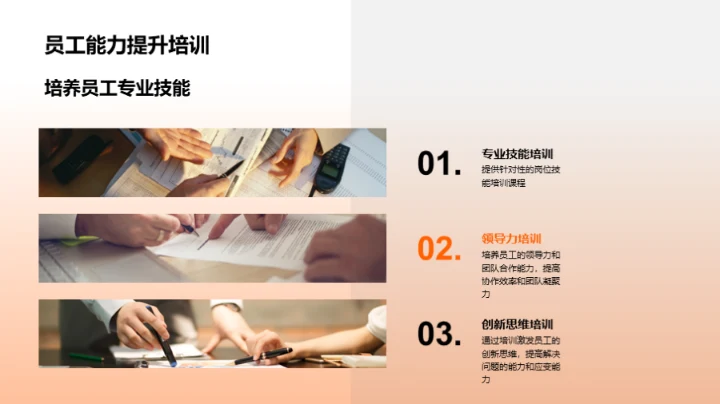 20XX年度人力资源优化