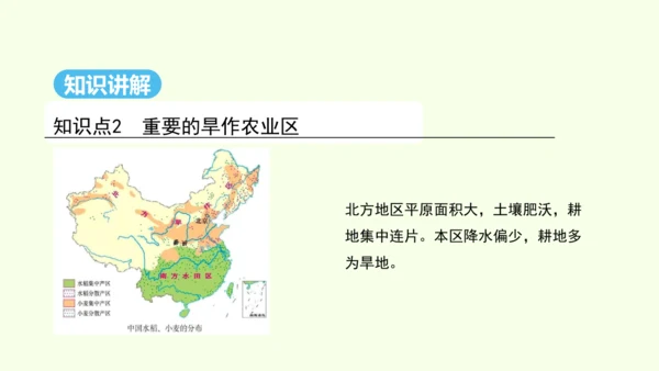 6.1 自然特征与农业（课件36张）-人教版地理八年级下册