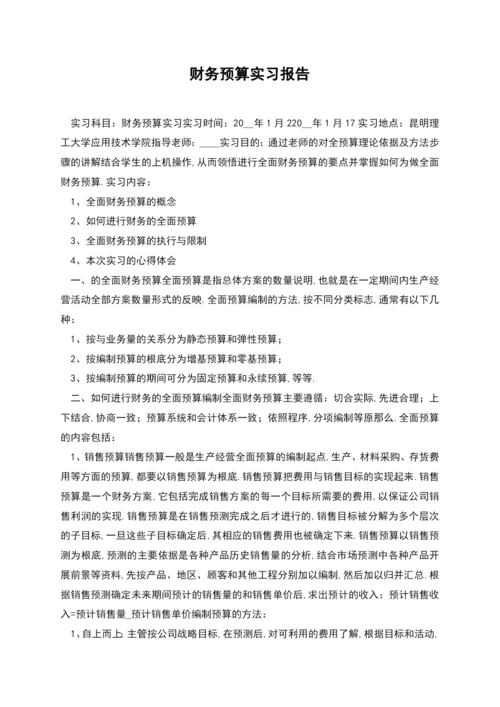 财务预算实习报告.docx