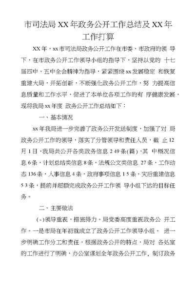 市司法局XX年政务公开工作总结及XX年工作打算