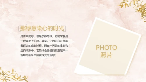 简约室内设计方案汇报工作总结PPT