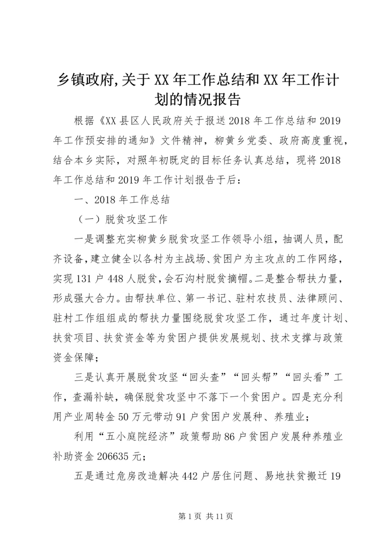 乡镇政府,关于某年工作总结和某年工作计划的情况报告.docx