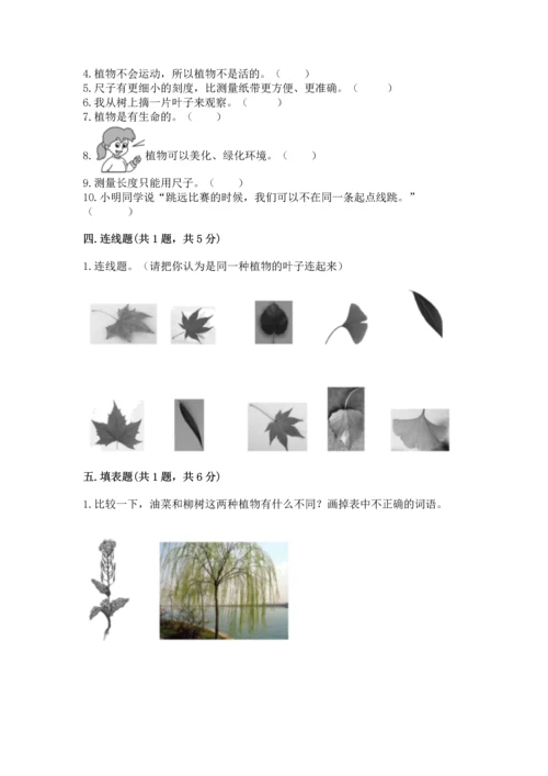 教科版科学一年级上册期末测试卷（考点梳理）.docx