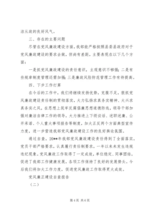 党风廉正建设自查报告.docx