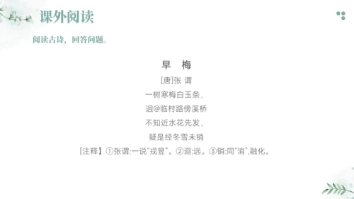 2024-2025学年六年级上册语文统编版第一单元阅读考点训练 课件