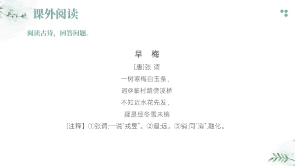 2024-2025学年六年级上册语文统编版第一单元阅读考点训练 课件