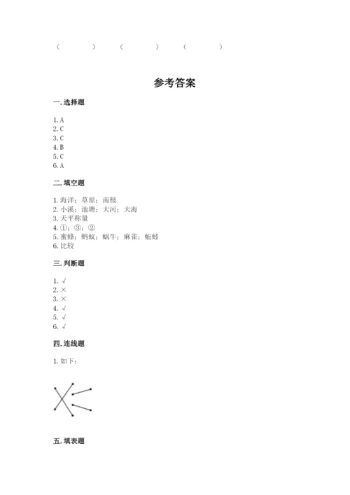 教科版小学科学一年级下册期末测试卷（能力提升）.docx