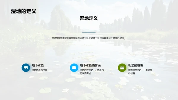 守护湿地，共筑生态