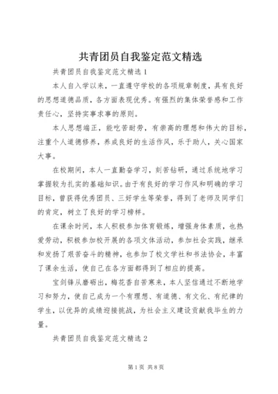 共青团员自我鉴定范文精选.docx