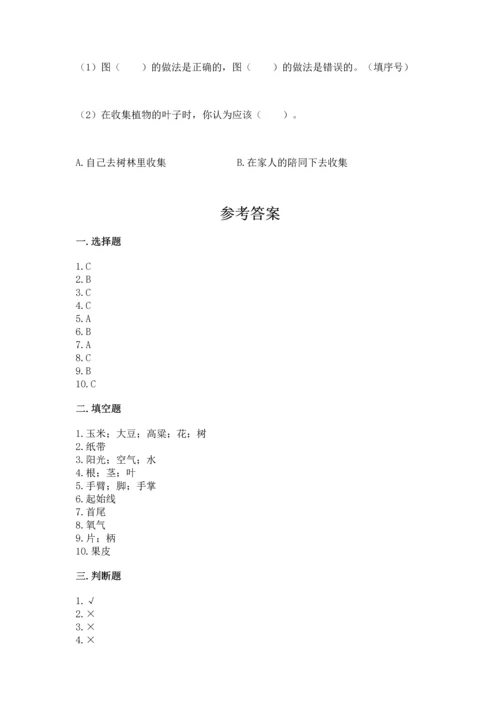 教科版一年级上册科学期末测试卷精品（夺冠）.docx