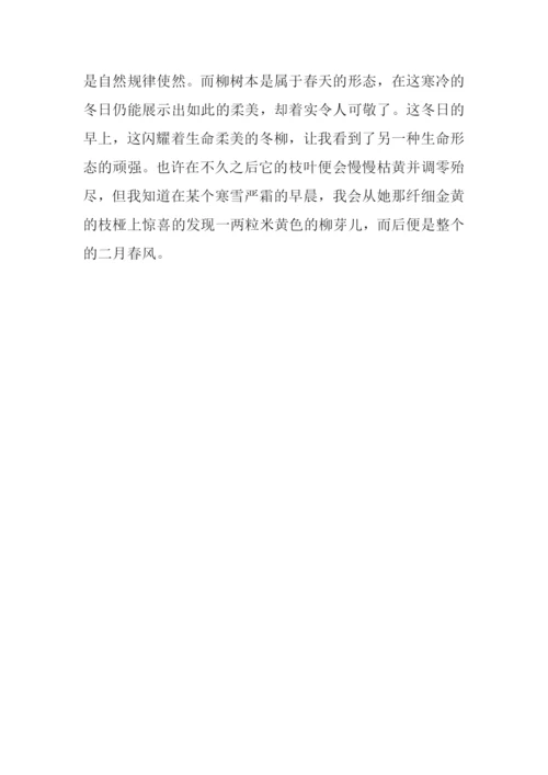 描写冬天柳树的作文-1.docx