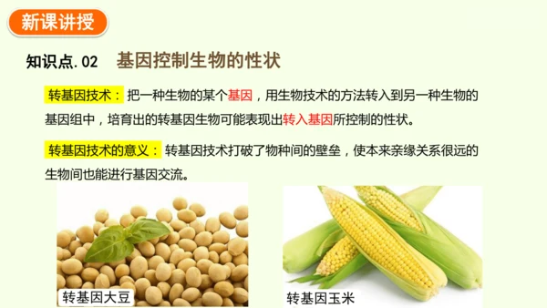 7.2.1基因控制生物的性状-八年级生物人教版下学期同步精品课件(共27张PPT)