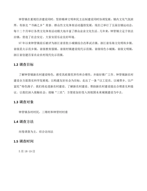 新农村建设专题调研研究报告.docx