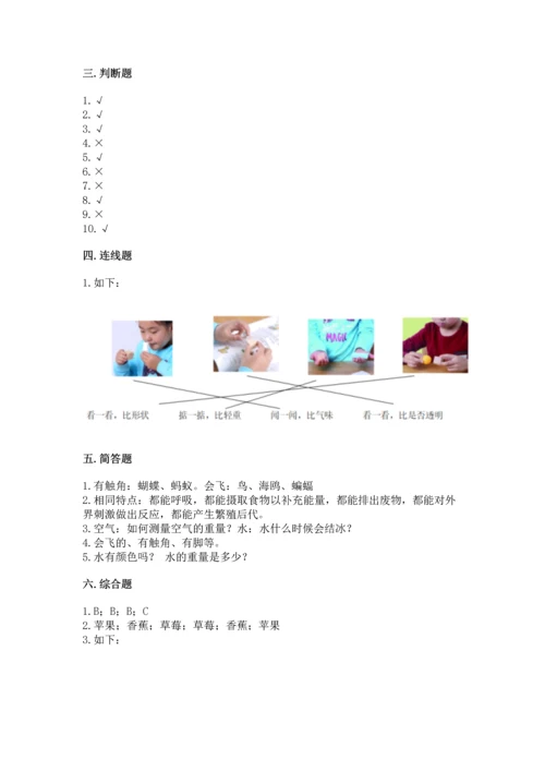 教科版一年级下册科学期末测试卷【b卷】.docx