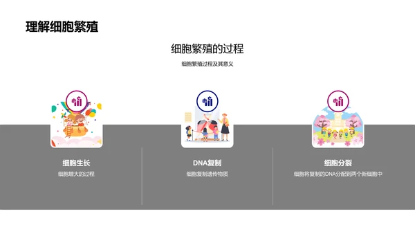 细胞知识讲解PPT模板
