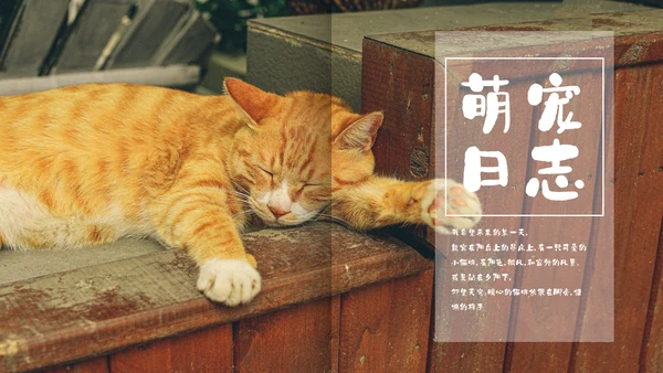 简约宠物萌宠画册电子相册通用PPT模板