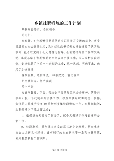 乡镇挂职锻炼的工作计划.docx