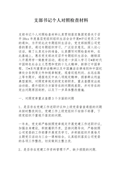 支部书记个人对照检查材料.docx