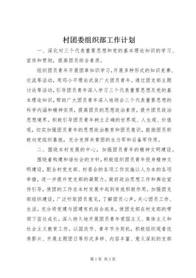 村团委组织部工作计划.docx