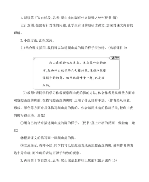 10爬山虎的脚  教案