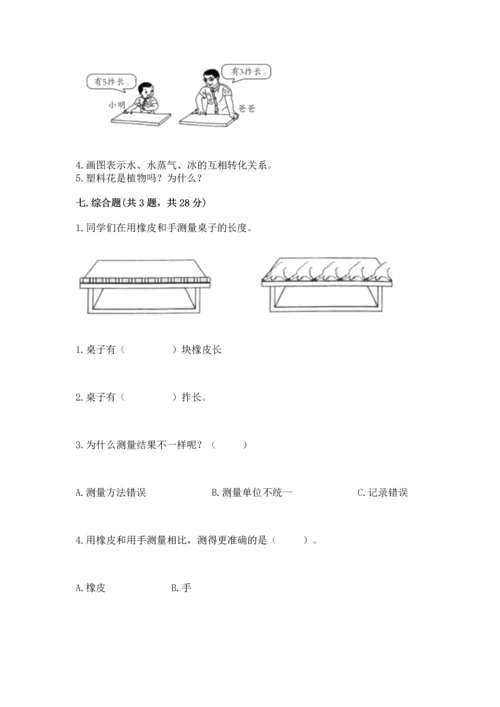 教科版一年级上册科学期末测试卷精华版.docx