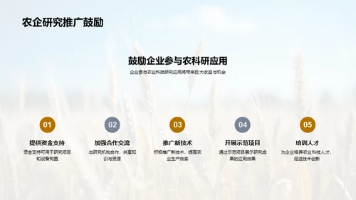 农业科技创新之路