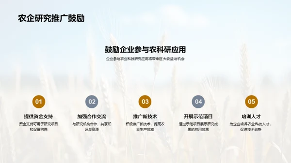 农业科技创新之路