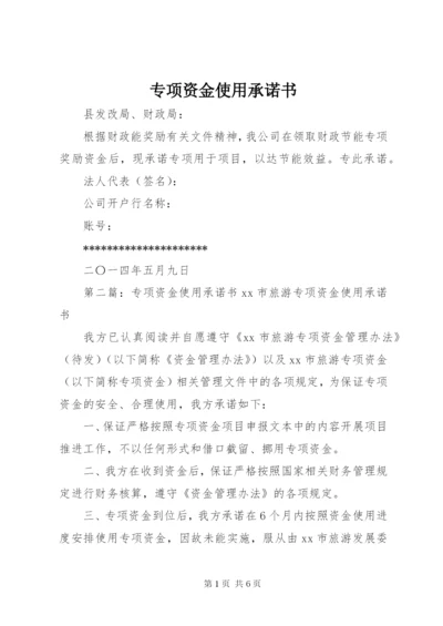 专项资金使用承诺书 (2).docx