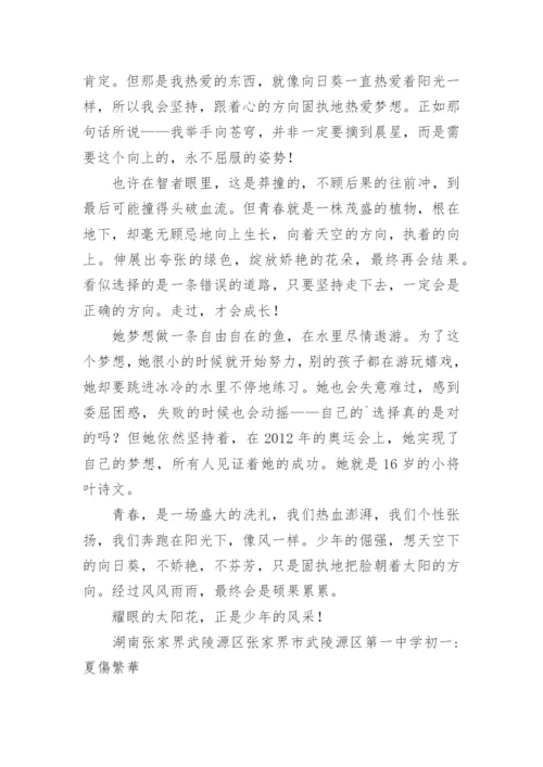 少年风采议论文.docx