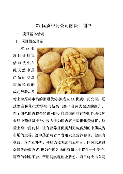 中药项目商业计划书