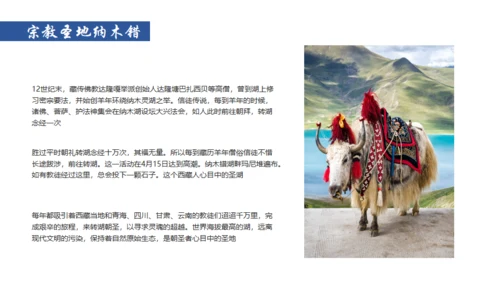 布达拉宫西藏文旅宣传旅游通用PPT模板
