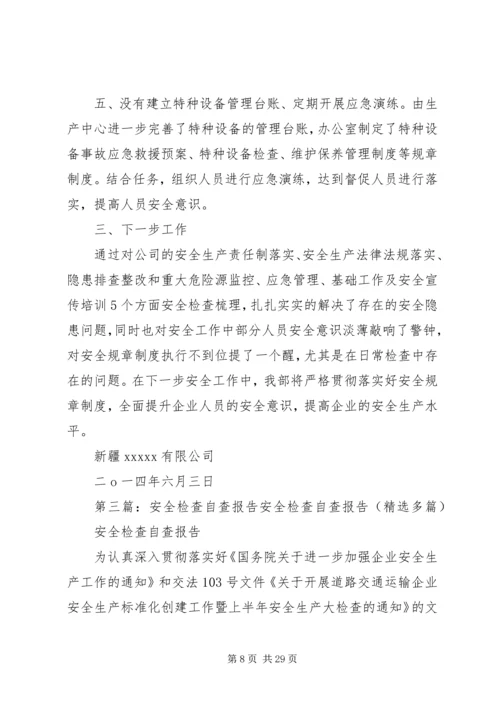 安全检查自查报告 (3).docx