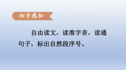【同步课件】部编版语文三年级上册  25.灰雀（2课时）