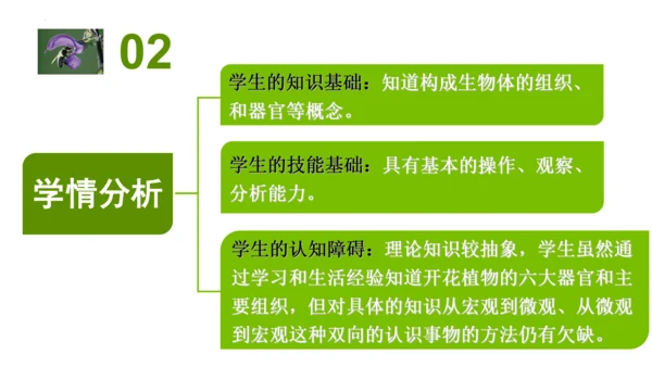 2.2.3植物体的结构层次 【说课课件】2023--2024学年人教版生物七年级上册(共42张PPT