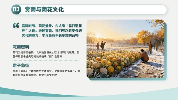 绿色简约风霜降主题班会PPT模板