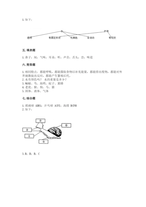 教科版一年级下册科学期末测试卷带答案（夺分金卷）.docx