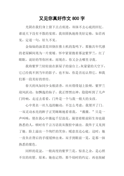 又见你真好作文800字.docx