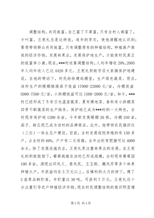 村党总支书记王宪礼同志先进事迹材料.docx