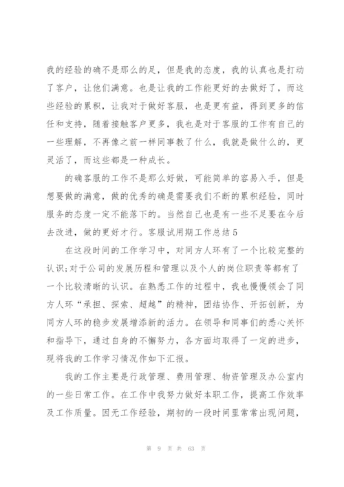 客服试用期工作总结19篇.docx
