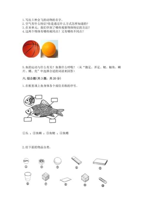 教科版一年级下册科学期末测试卷（全优）word版.docx