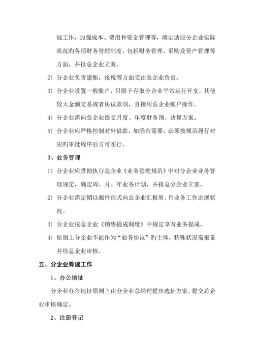 分公司筹建方案.docx