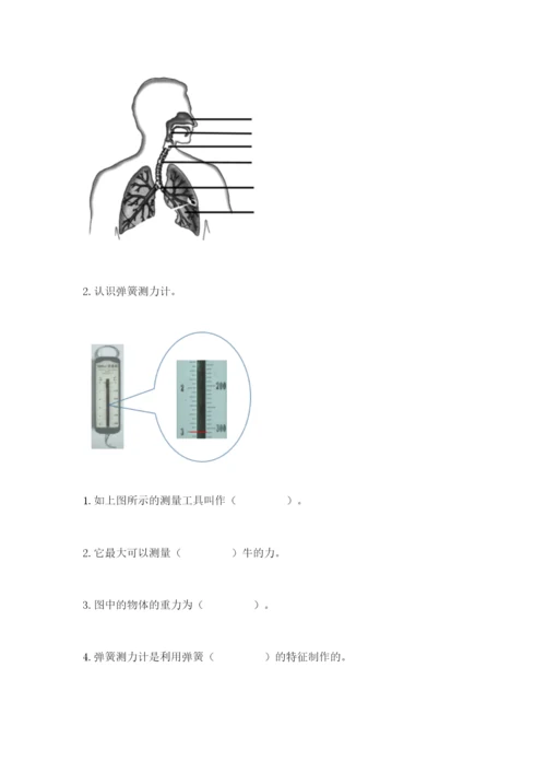 教科版四年级上册科学期末测试卷（典优）.docx