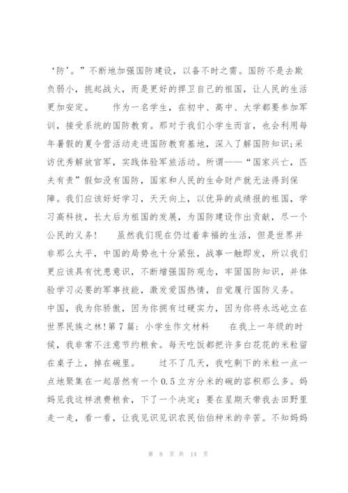 小学生作文材料范文九篇.docx