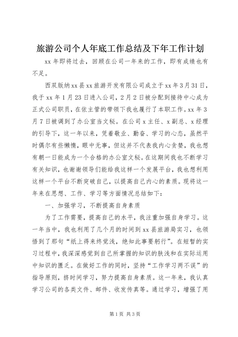 旅游公司个人年底工作总结及下年工作计划.docx