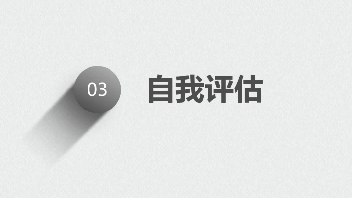 黑白简约计算机科学与技术专业大学生职业生涯规划展示